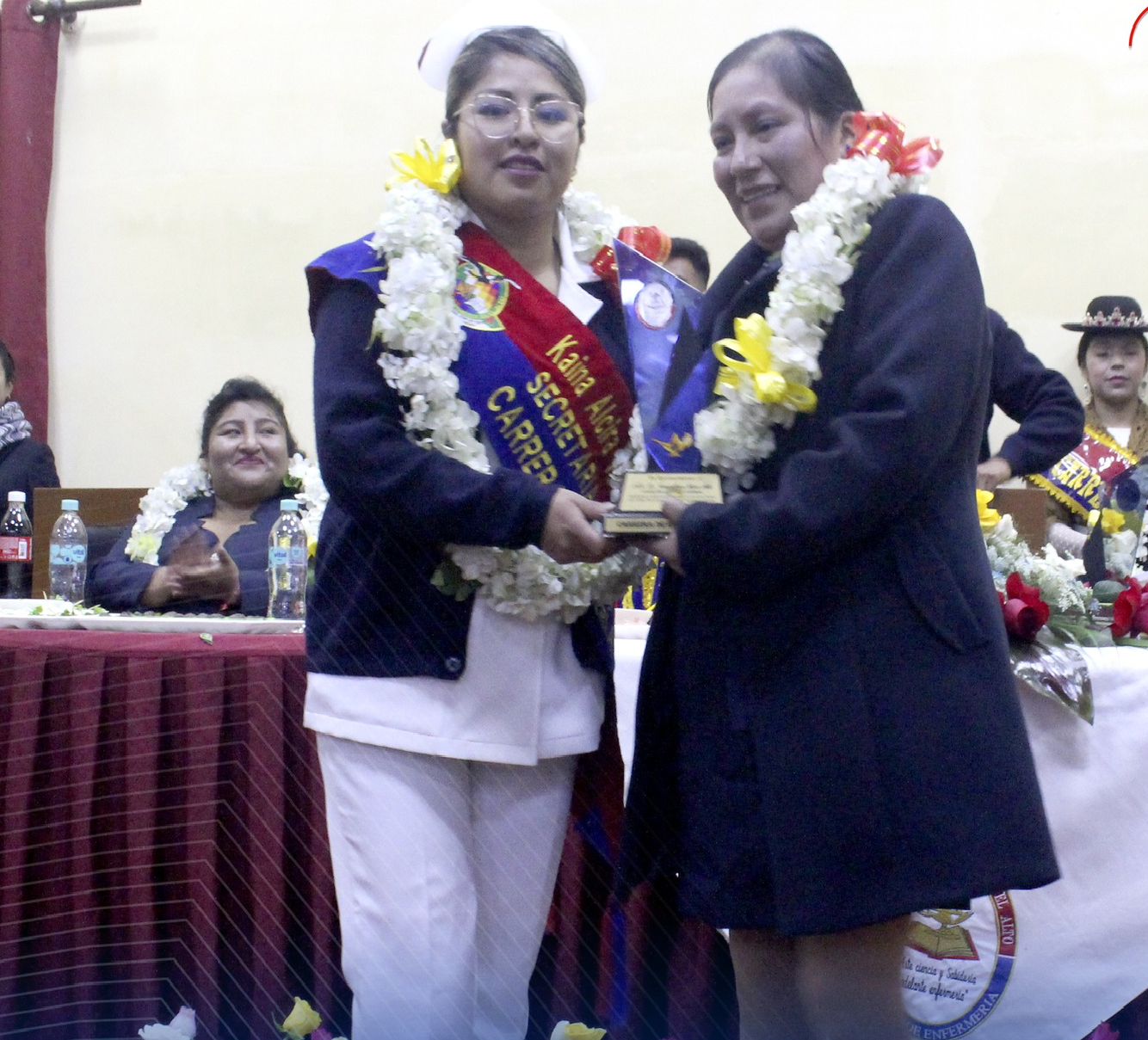 Enfermería - Misión